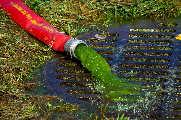 Green water is pumped out of the National Reflecting Pool in Washington, Wednesday, June 17, 2026. (AP Photo/Cliff Owen)
Lincoln Memorial Reflecting Pool