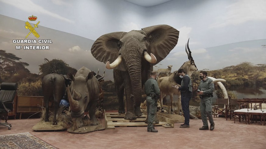 In this photo provided by the Spanish Civil Guard and made available on Sunday April 10, 2022, Civil Guards check stuffed animals in Betera, Spain. Spain&#039;s Civil Guard says it is investigating a  ...