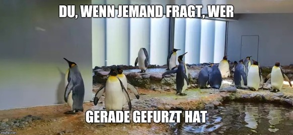 Und was kommt nie aus der Mode? Genau: PICDUMP
Ehnöö, er ischs gsii