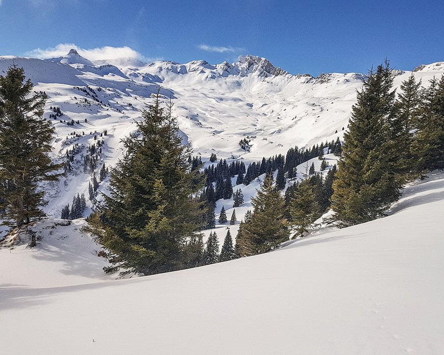 Rauszeit neue Schneeschuhtrails SchweizMobil-Route 730 Flumserberg Plattis