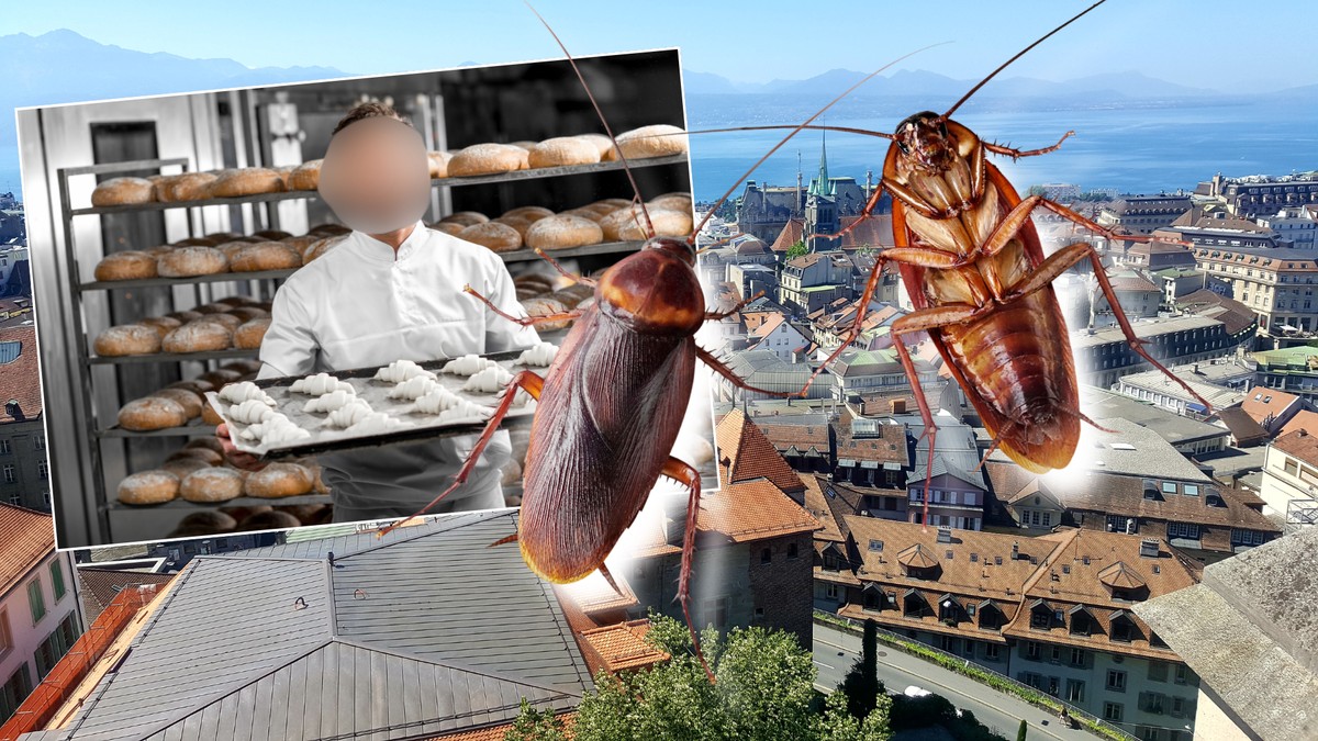 Vaud: un boulanger récidiviste condamné à 100 jours de prison
Prison ferme pour le plus crado des boulangers vaudois