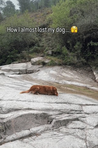 Animiertes GIF