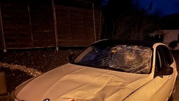 Ein Hirsch hat sich am 4. Mai 2023 auf die Autobahn A8 in Alpnach OW verirrt. Bei der Kollision mit einem Auto kam er ums Leben.