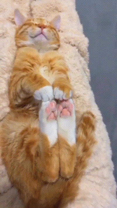 Animiertes GIF
