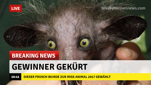 Breaking News
Cute News
https://imgur.com/gallery/vTjP9