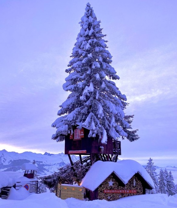 Baumhütte Sonnenhütte Ibergeregg Rauszeit Skihütten