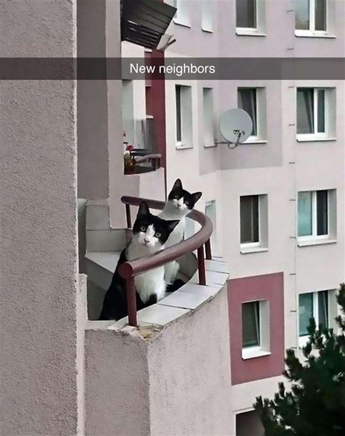 Snapchat: neue Nachrichten
https://i.imgur.com/IF9pLl8.jpg