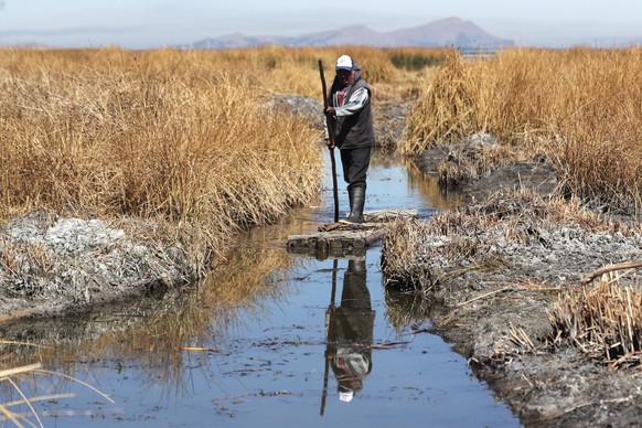 epaselect epa10808125 Domingo Chirino navigates a channel of Lake Titicaca, in Huarina, Bolivia, August 16, 2023 (released August 19, 2023).  The Bolivian Domingo Chirino used to sail in his boat...