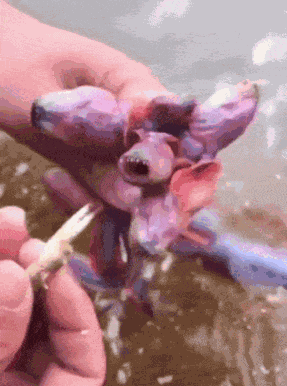 Animiertes GIF
