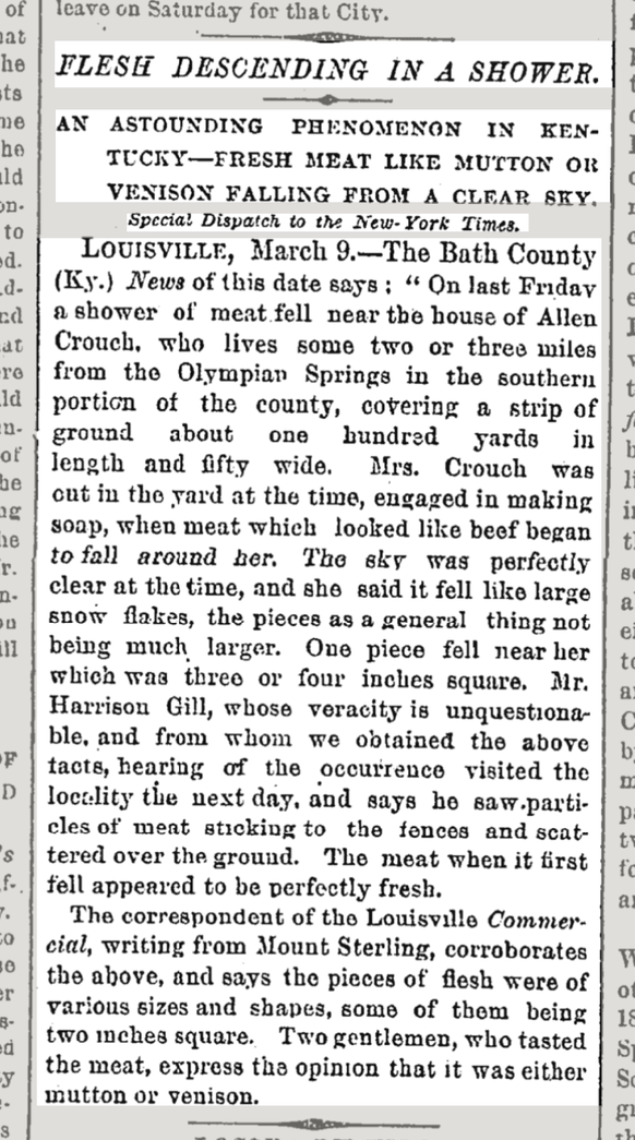 Die «New York Times» über den mysteriösen Fleischregen am 10. März 1876.