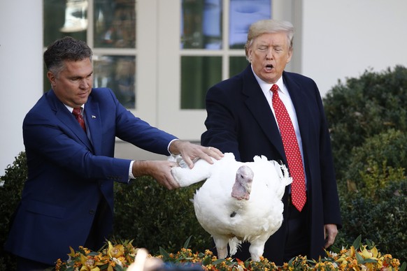 President Donald Trump pardons Butter, the national Thanksgiving turkey, in the Rose Garden of the White House, Tuesday, Nov. 26, 2019, in Washington. (AP Photo/Patrick Semansky)
Donald Trump