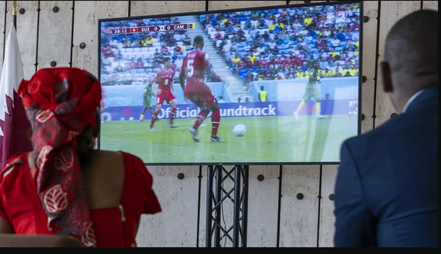 Das Spiel der Nati gegen Kamerun verfolgten über 500'000 Zuschauer beim SRF.