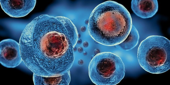Stammzellen HIV Aids forschung