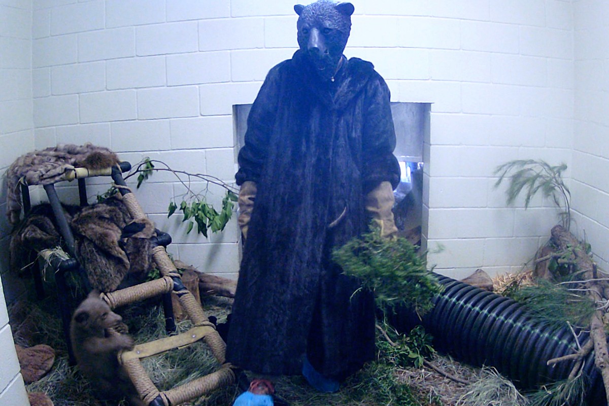 In this photo provided by San Diego Humane Society, an employee wears a costume while interacting with a bear cub, which was found alone in Los Padres National Forest, bottom left, at the San Diego Hu ...