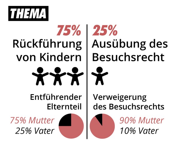 Kindesentführung Infografiken Camille