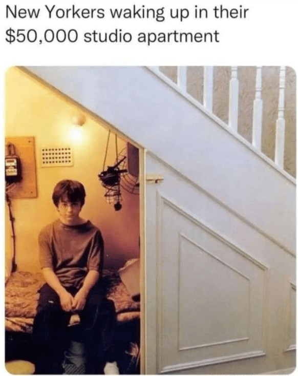 Harry Potter - The best memes about the film series