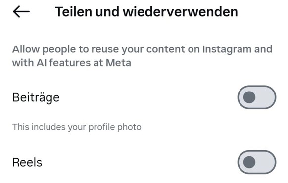 Auf Instagram können Nutzerinnen und Nutzer mit öffentlichen Konten unter Einstellungen und der Unterkategorie Teilen und Wiederverwenden Muse Image die Nutzung der eigenen Bilder untersagen.