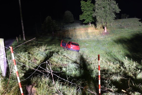 Wegen eines Verkehrsunfalls ist in der Nacht auf den 3. Juli 2022 in Ebersecken der Strom ausgefallen. Schuld war ein betrunkener Autofahrer, wie die Staatsanwaltschaft am Montag mitteilte.