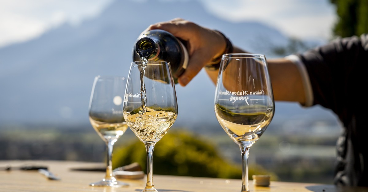 Der-Schweizer-Wein-braucht-keine-Subventionen-