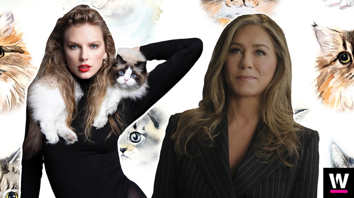 Katzen Ladies