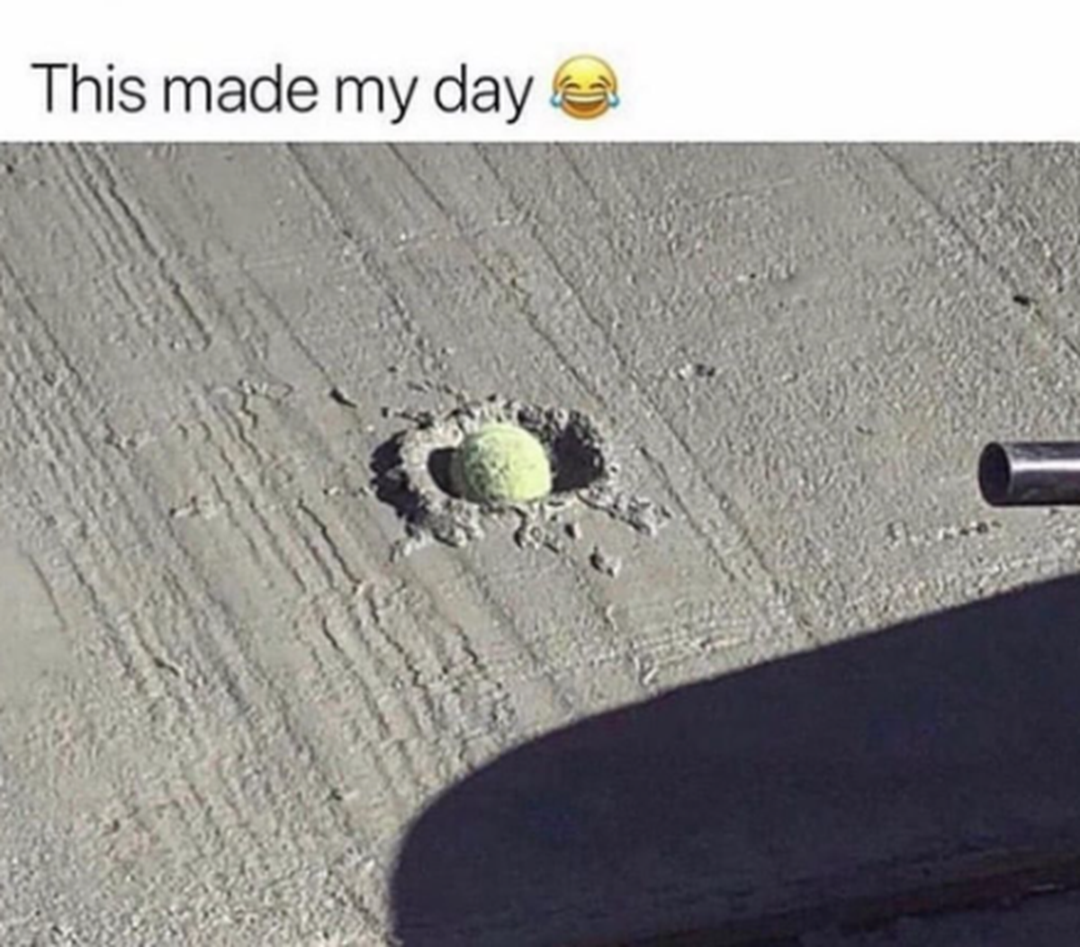 Fail: Hund lässt Ball in nassen Beton fallen