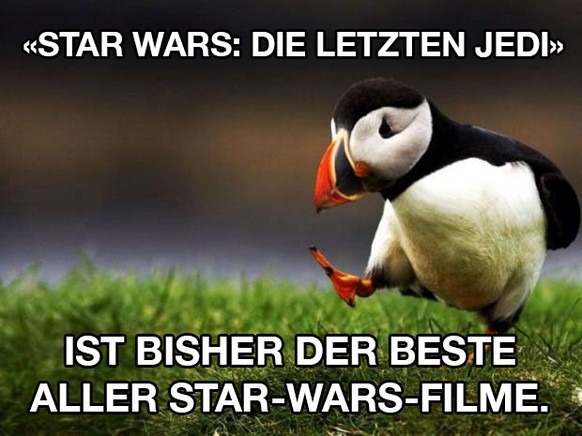 Puffin-Star-Wars-Meme