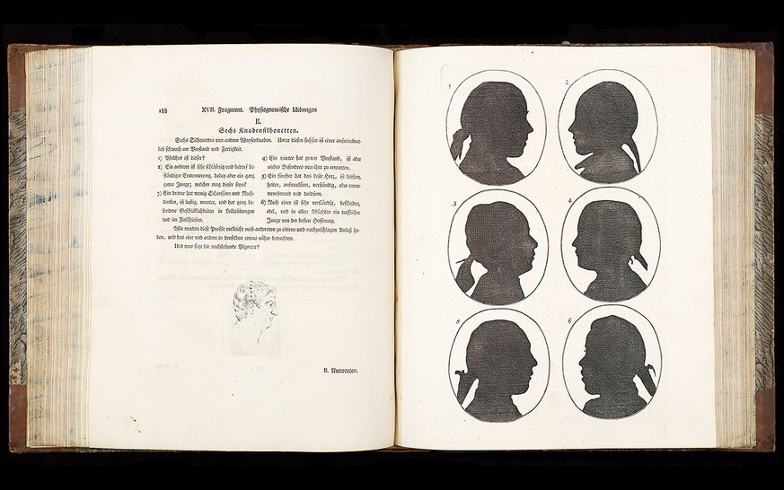 Lavater, Physigonomie