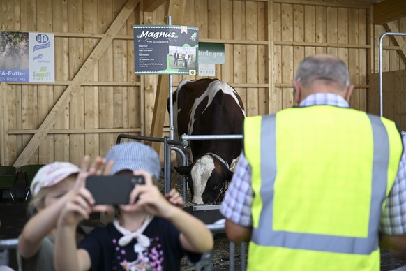 Eine Kuh auf dem Festplatz wird von Besuchern waehrend einem Rundgang in der Schwingarena des Eidgenoessischen Schwing- und Aelplerfestes, ESAF, fotografiert, am Samstag, 20. August 2022, in Pratteln. ...