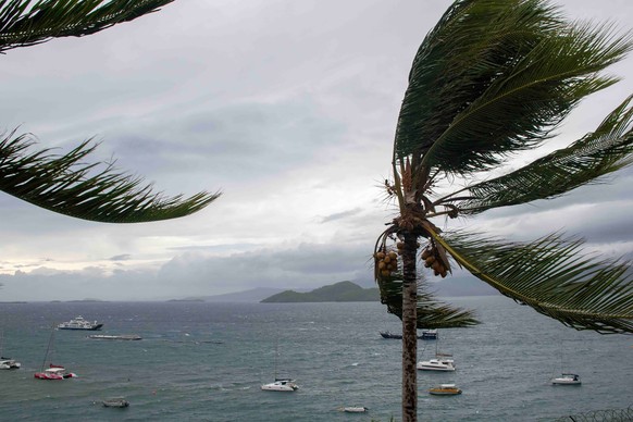 epa11778704 A handout photo made available by the French Army on 15 December 2024 shows trees blowing in storm winds in the French overseas territory of Mayotte. At least 14 people were killed and mor ...
