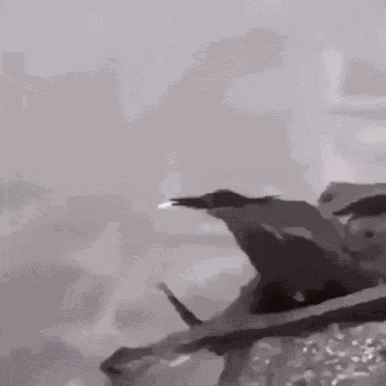 Animiertes GIF