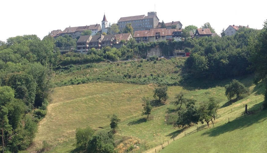 Der Blick hoch nach Regensberg.