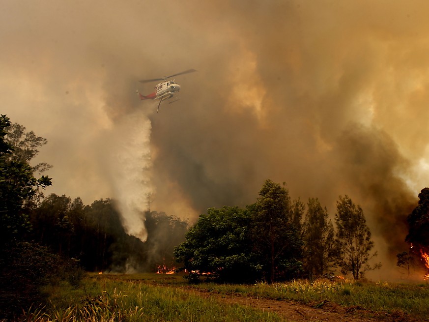 In Australien lodern rund hundert Buschfeuer in den Bundesstaaten New South Wales und Queensland auf einem rund tausend Kilometer langen Streifen entlang der Ostküste.