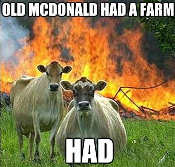 Kühe zünden Baurnhof an.

http://uproxx.com/webculture/best-of-evil-cows-meme/