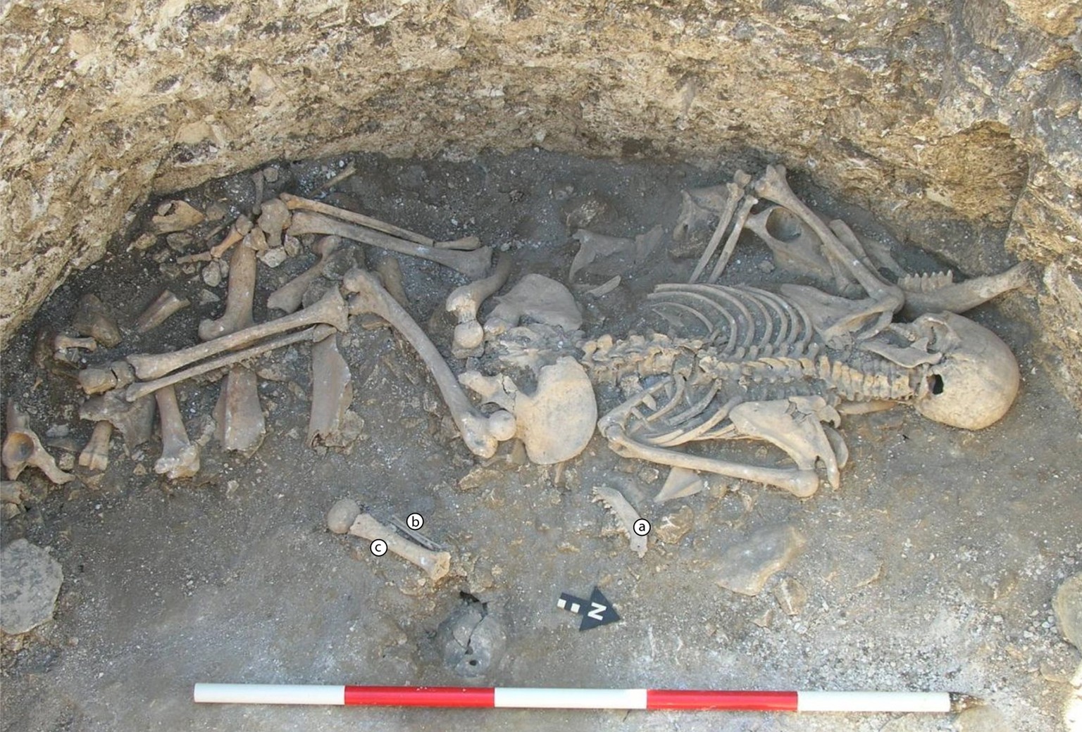 2010 bei Winterborne Kingston gefundenes Skelett einer Frau.