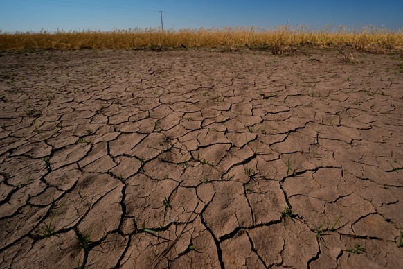 FILE - Drought-stressed wheat plants stand adjacent to parched ground in a field near Macksville, Kan., May 16, 2026. (AP Photo/Charlie Riedel, File)
Climate El Nino