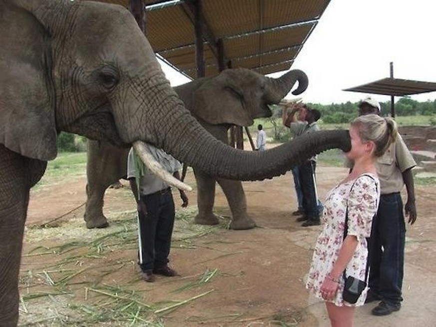 Die perfekte Freitags-Unterhaltung? Genau: Diese 27 Tierbilder\njaa 😎