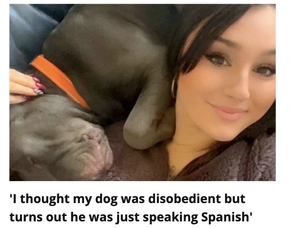 Grossartige Schlagzeilen aus Grossbritannien
https://x.com/craplocalnews