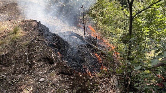 Waldbrand Horw LU 26.6.26