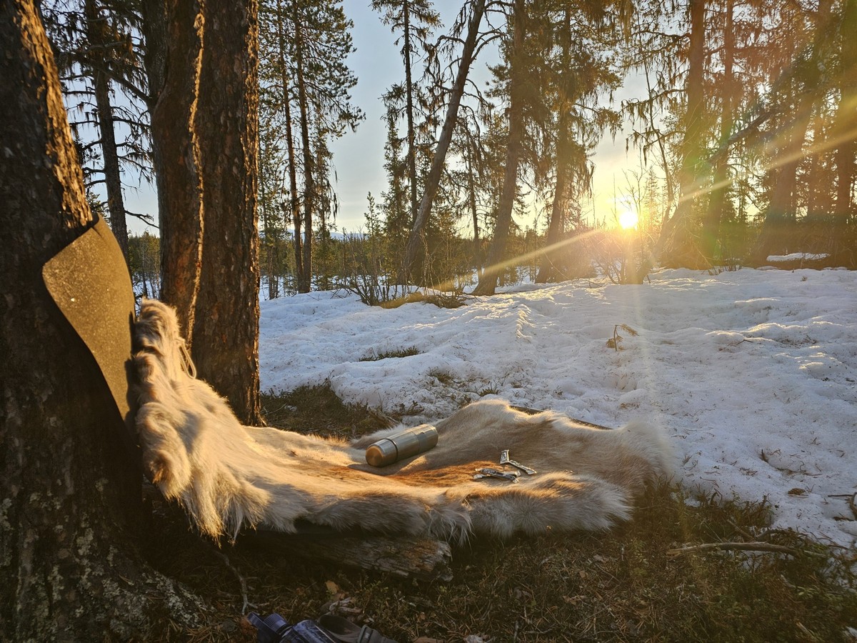 Fjällräven Polar 2026