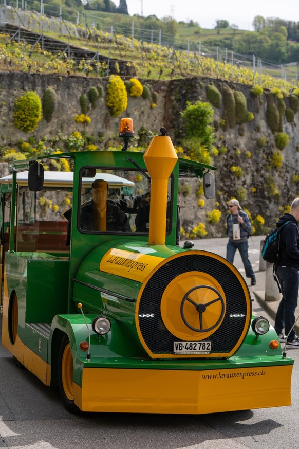 Der «Lavaux Express» tuckert durch die Rebberge.