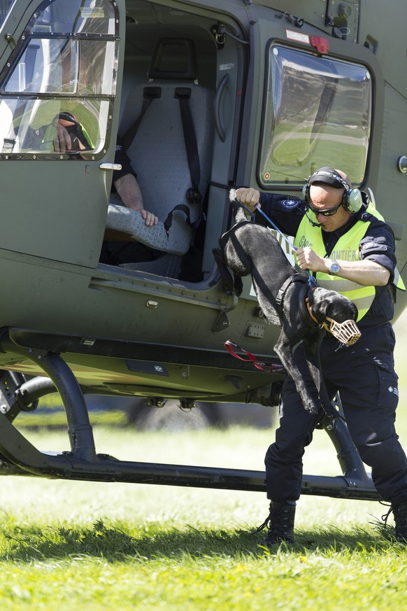 Ein Diensthund trainiert das Ein- und Aussteigen aus einem Helikopter EC 365 der Schweizer Luftwaffe.