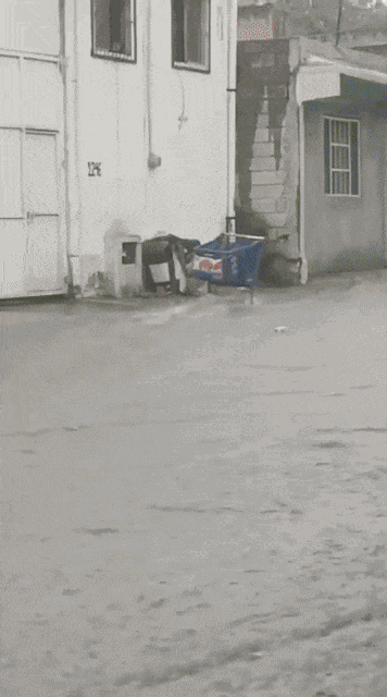 Animiertes GIF