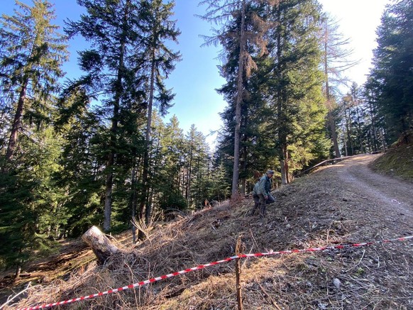 ABD0003_20230409 - TRENTO - ITALY: ++ HANDOUT ++ TO APA0107 DAT 04/08/2023 - Following the death of a 26-year-old jogger who was attacked and killed by a bear in the woods of Trentino, Northern Italy.