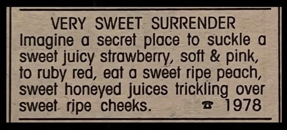 Long Lost Personals - Dating-Annoncen anno dazumal.

https://www.instagram.com/longlostpersonals/