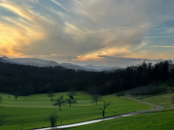 aussicht kahneman nunningen SO