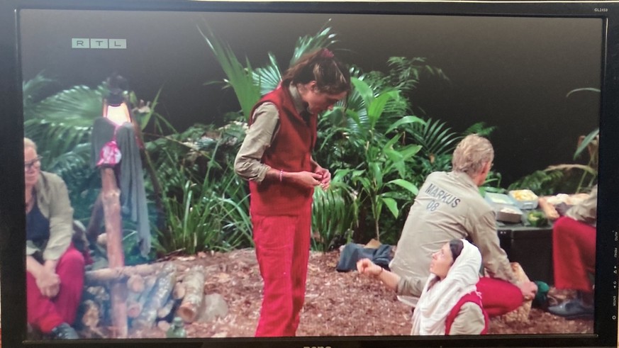 Jungle Camp 2023