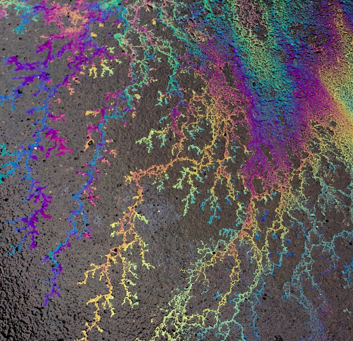 Zufällig entstandene Kunst