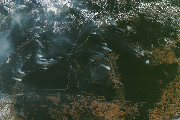Rauchwolken zeugen von den Brandherden im Amazonas-Gebiet, 1. August 2020.