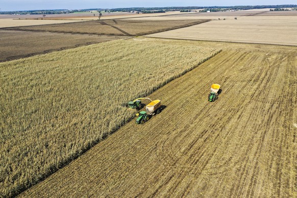 epa07923599 An aerial photo from a drone shows corn being harvested near Milton, Wisconsin, USA, 15 October 2019. According to reports farmer have been hampered by weather all season causing delays in ...