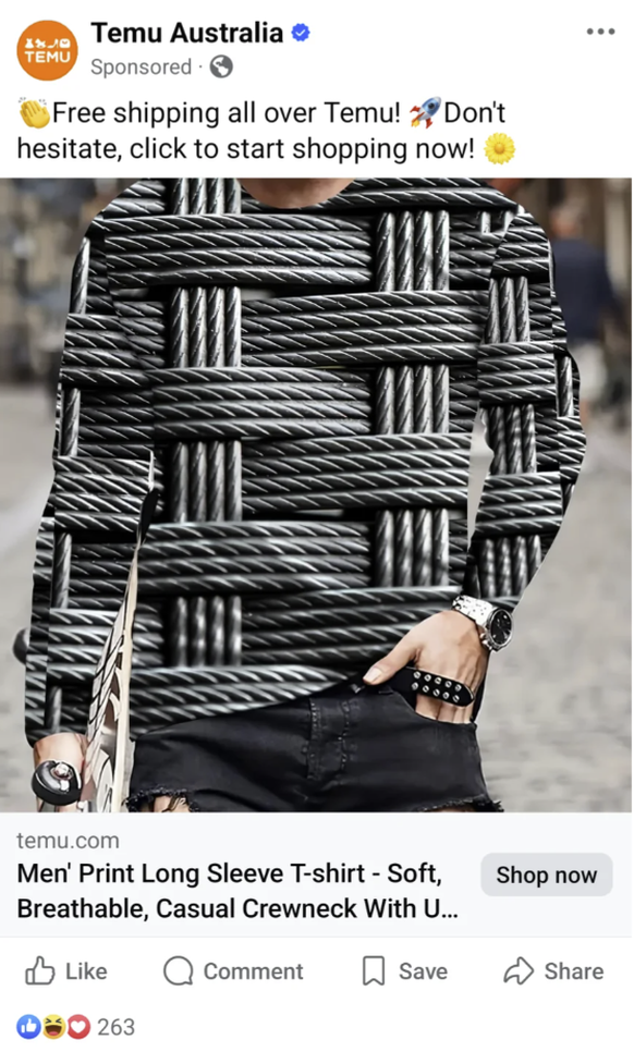 Photoshop-Pannen Temu und Co.